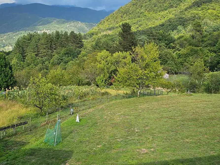 Immagine 39 di Terratetto in vendita  in Via per Salino 83 a Varese Ligure