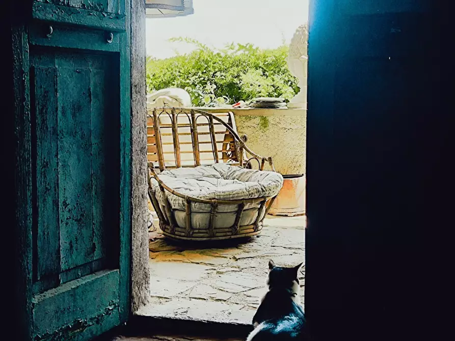 Immagine 8 di Rustico / casale in vendita  in Via Gianelli 58 a Carro