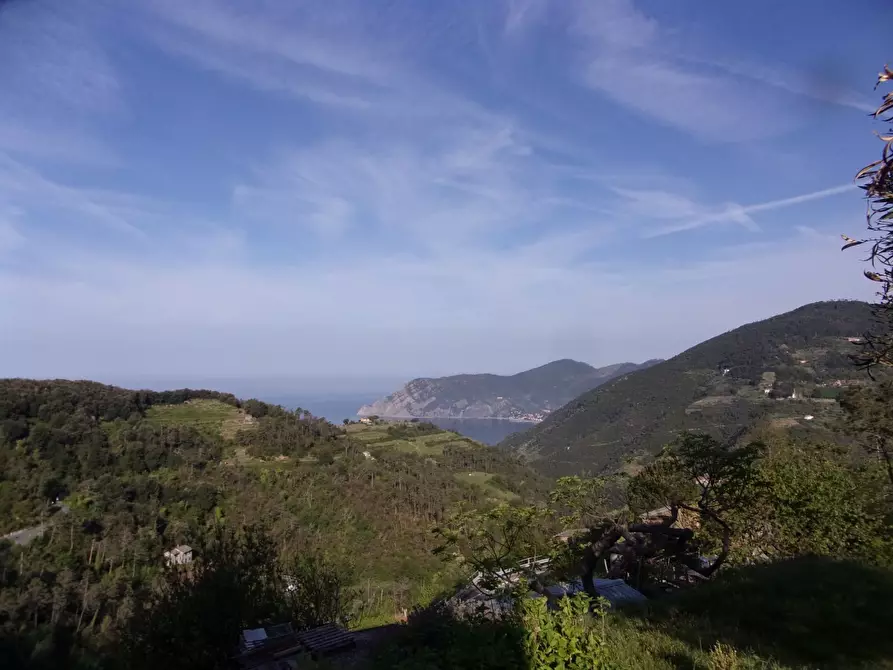 Immagine 2 di Rustico / casale in vendita  in San Bernardino a Vernazza