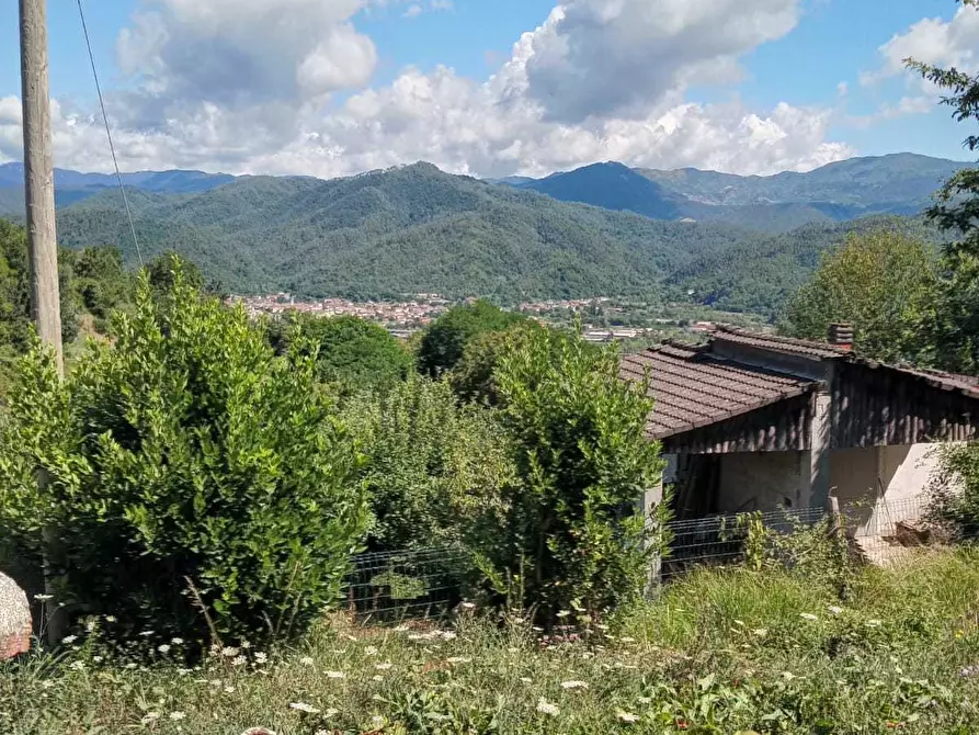 Immagine 11 di Villa in vendita  a Borghetto Di Vara