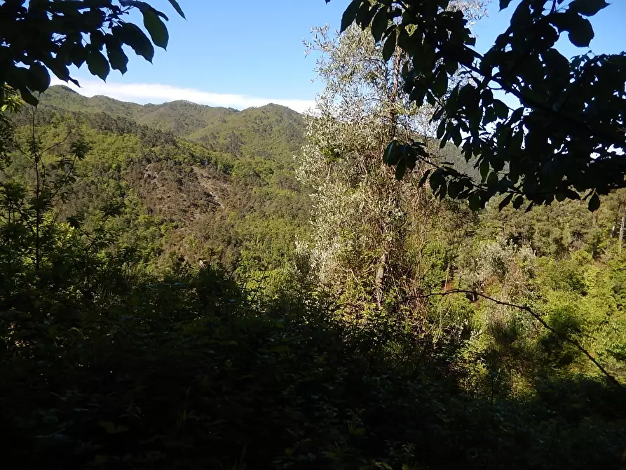 Immagine 9 di Trilocale in vendita  in Via alla Chiesa a Castiglione Chiavarese