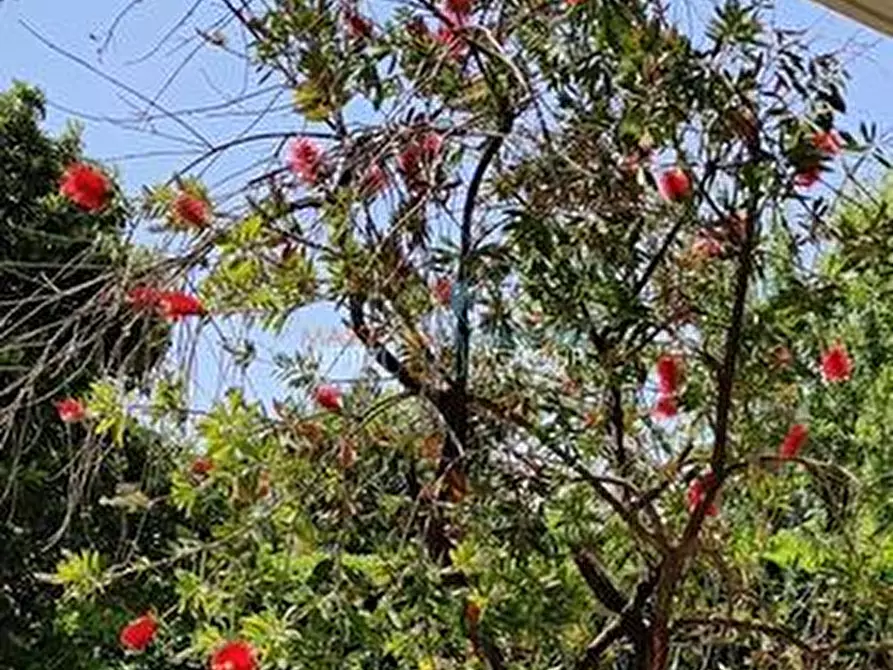 Immagine 21 di Quadrilocale in vendita  in Viale Monzoni 37 a Carrara