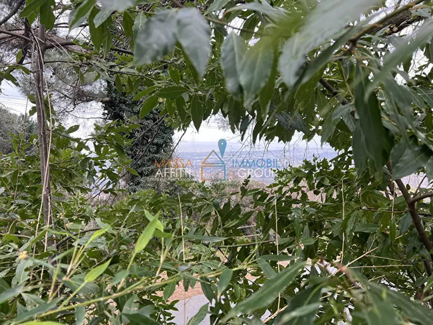 Immagine 9 di Villa in vendita  in Via Tecchioni 5 a Massa