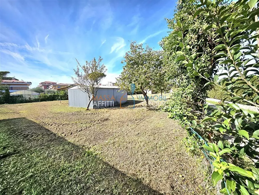 Immagine 5 di Terreno agricolo in vendita  in Via Venezia 70 a Massa