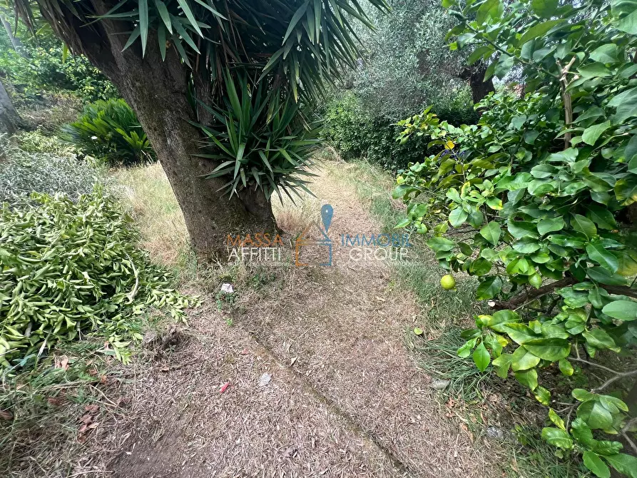 Immagine 3 di Terreno agricolo in vendita  in Via San Giuseppe Vecchio 37 a Massa