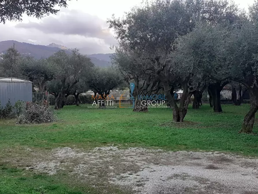 Immagine 13 di Pentalocale in vendita  in Via G. Carducci 185 a Massa