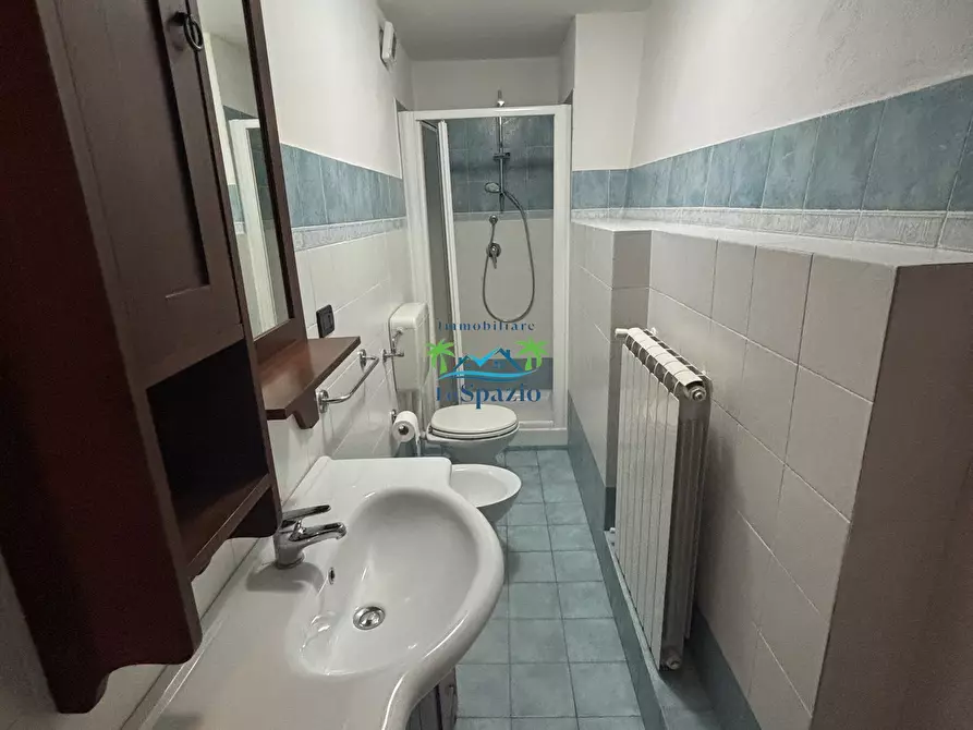 Immagine 71 di Rustico / casale in vendita  in Località Ciantà a Stellanello