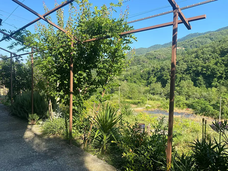 Immagine 12 di Trilocale in vendita  a Stellanello