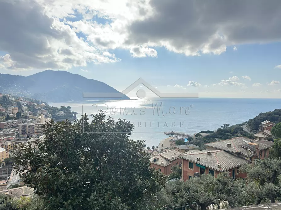 Immagine 21 di Casa indipendente in vendita  in Salvo D'Acquisto 70 a Recco