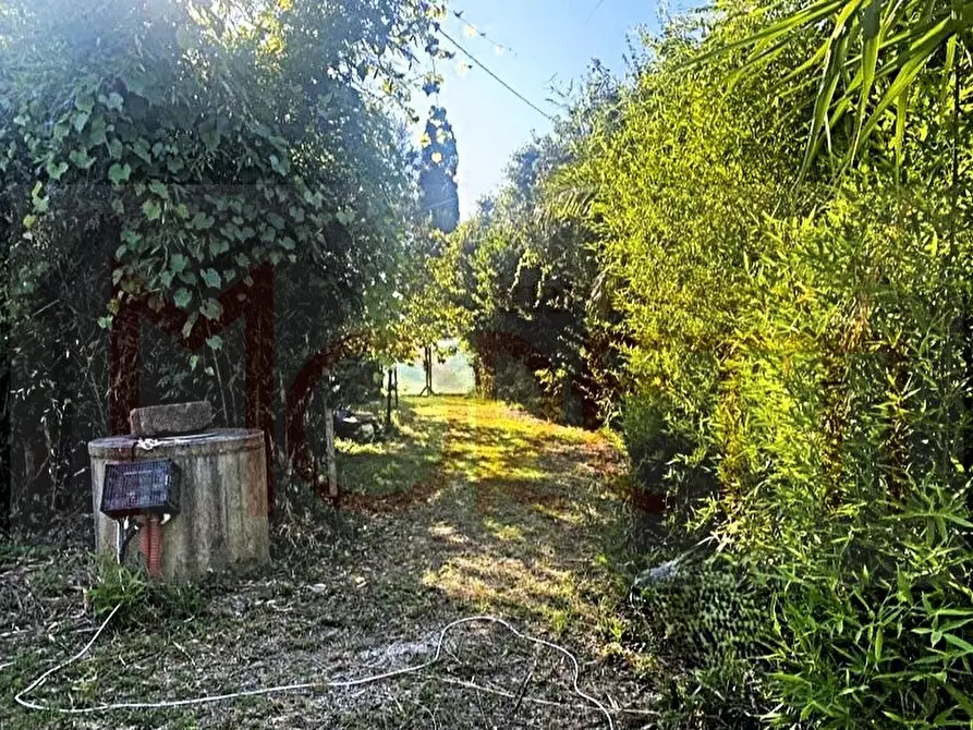 Immagine 6 di Terreno agricolo in vendita  in Via delle Sorgenti a Livorno
