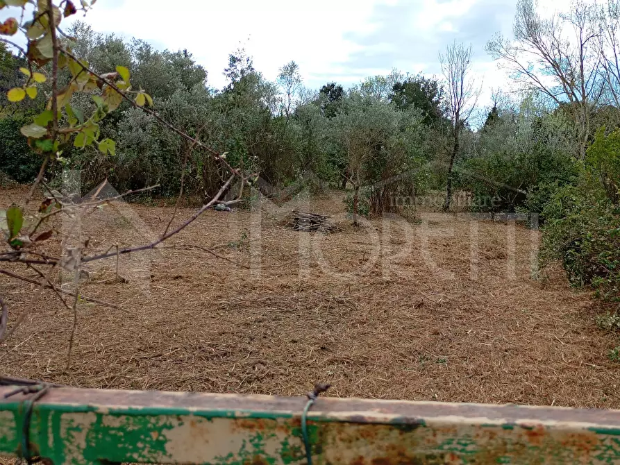 Immagine 45 di Terreno agricolo in vendita  in Via delle Sorgenti a Livorno