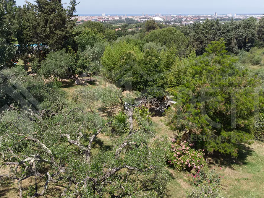 Immagine 11 di Terreno agricolo in vendita  in Via dell'Uliveta a Livorno