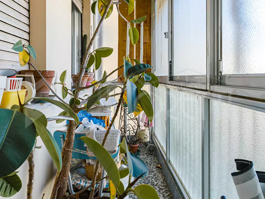 Immagine 24 di Pentalocale in vendita  in Viale Fabbricotti a Livorno