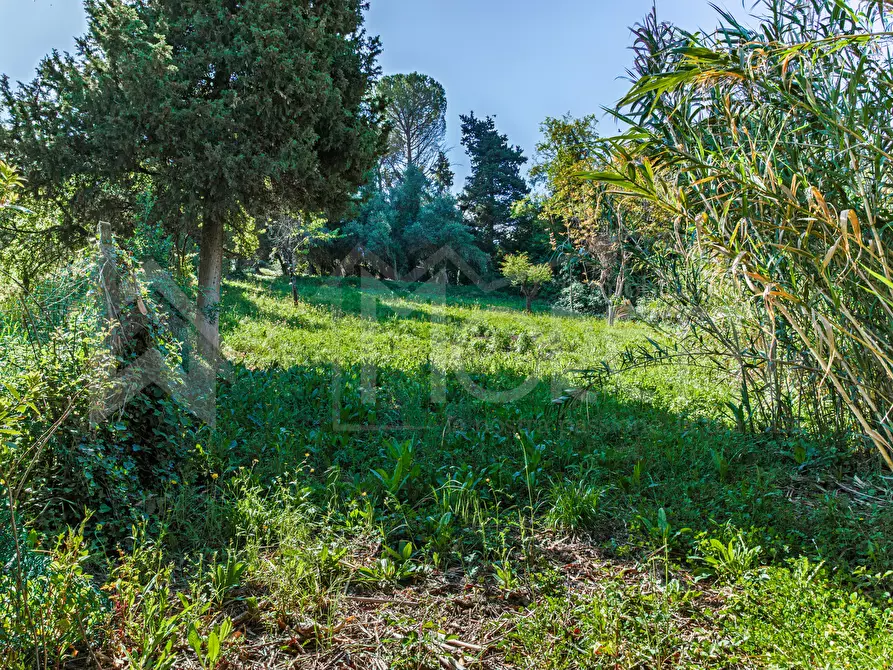 Immagine 106 di Villa in vendita  in Via Parrana San Martino a Collesalvetti