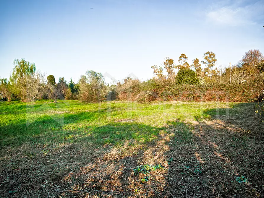 Immagine 43 di Terreno agricolo in vendita  in Via delle Sorgenti a Livorno