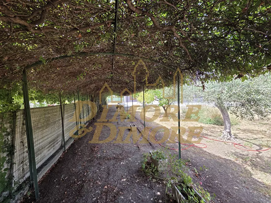 Immagine 6 di Villa in vendita  a Ceriale