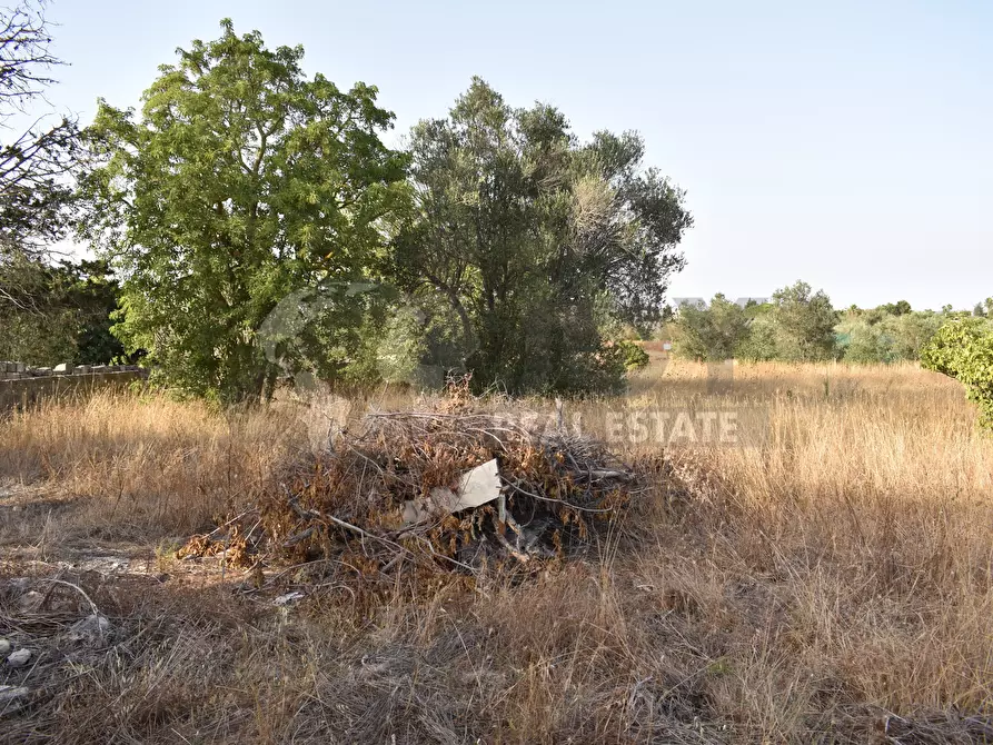 Immagine 36 di Villa in vendita  in Strada Comunale Castello Forcignano 26 a Galatone