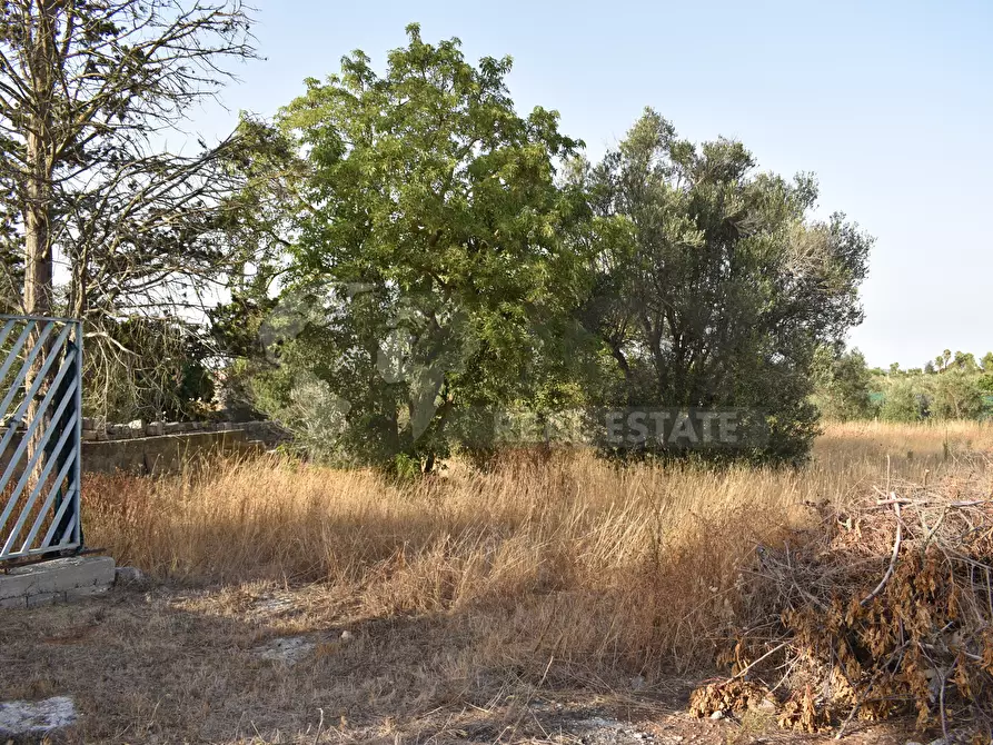 Immagine 22 di Villa in vendita  in Strada Comunale Castello Forcignano 26 a Galatone