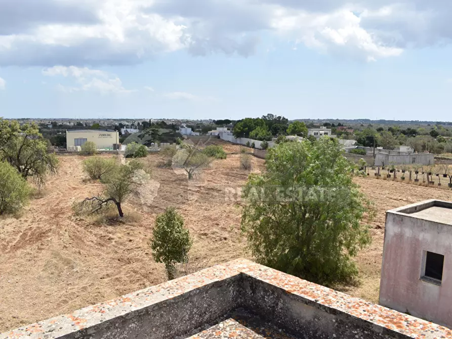 Immagine 6 di Terreno agricolo in vendita  in Via Carlo Donat Cattin 61 a Specchia