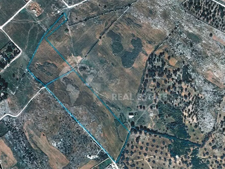 Immagine 10 di Terreno agricolo in vendita  in Via del Codibugnolo a Lecce