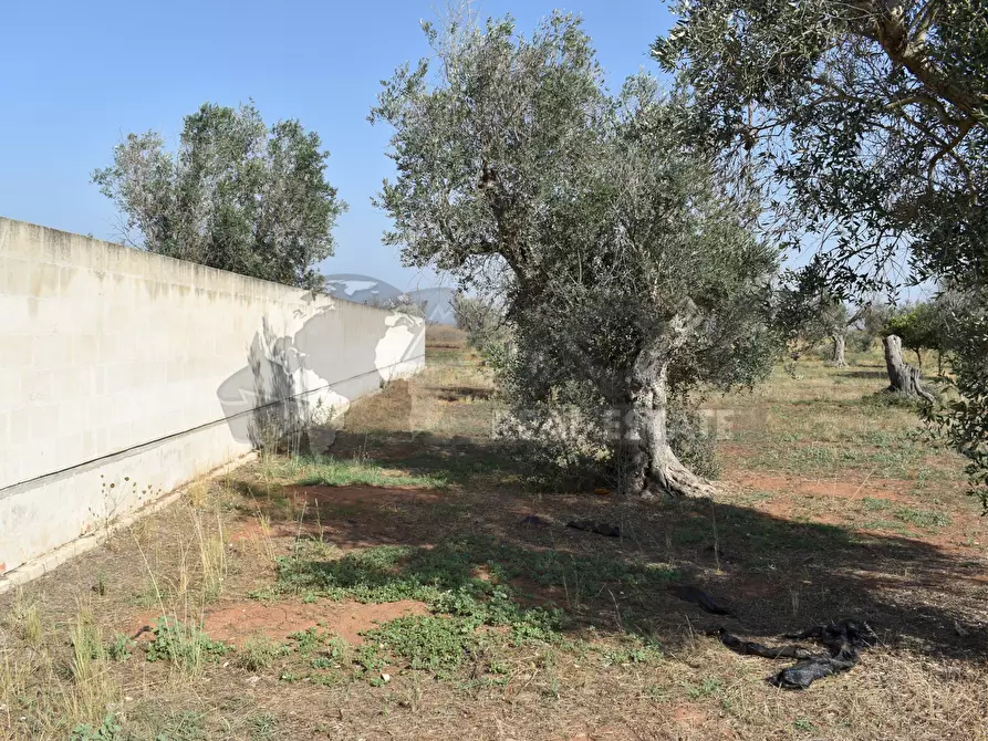 Immagine 28 di Casa indipendente in vendita  in Via Bernardino Desa 14 a Copertino