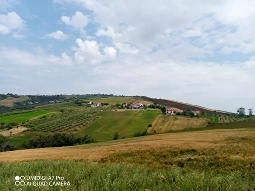 Immagine 13 di Terreno agricolo in vendita  in LOCALITA' CATOSCIO a Castel Frentano