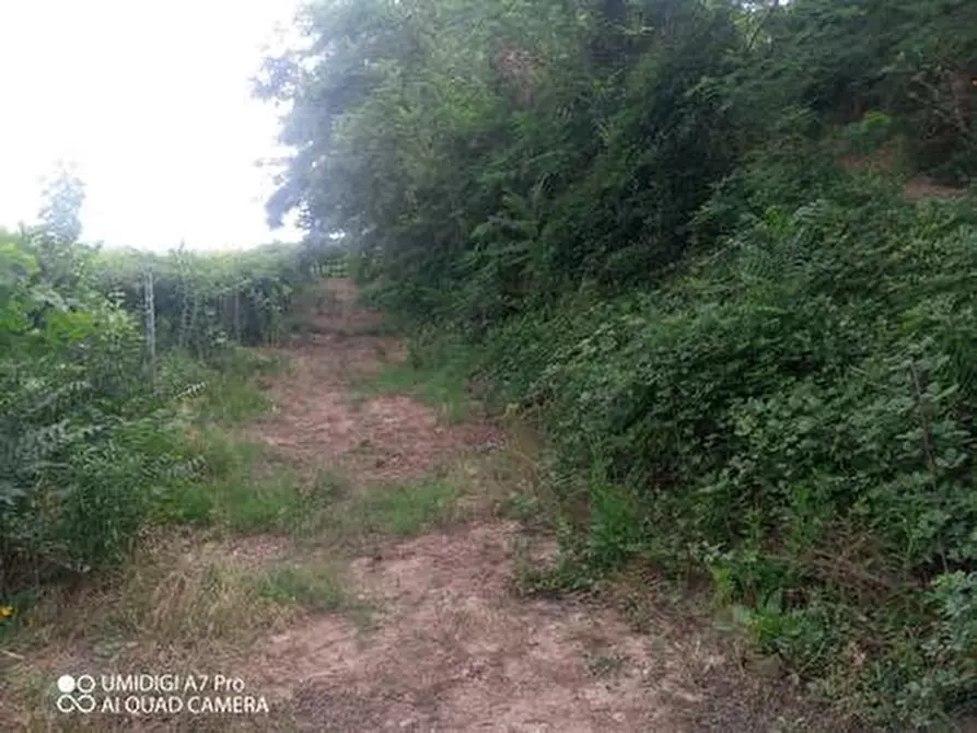 Immagine 20 di Terreno agricolo in vendita  in C.DA VILLA STANAZZO a Lanciano