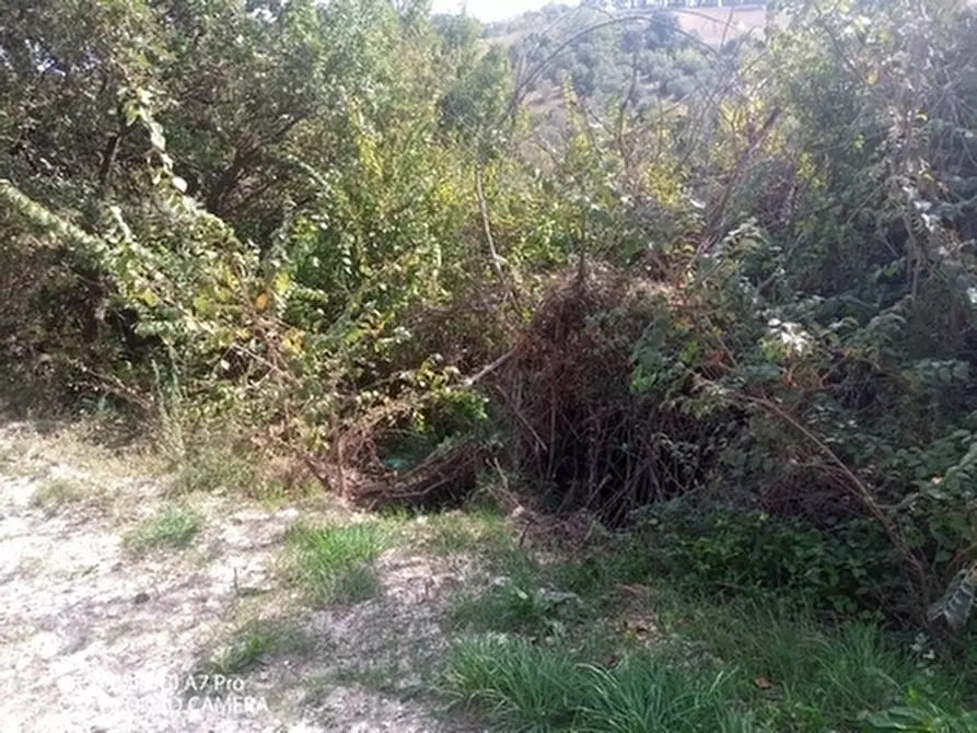 Immagine 7 di Porzione di casa in vendita  in LOC.POZZO a Paglieta