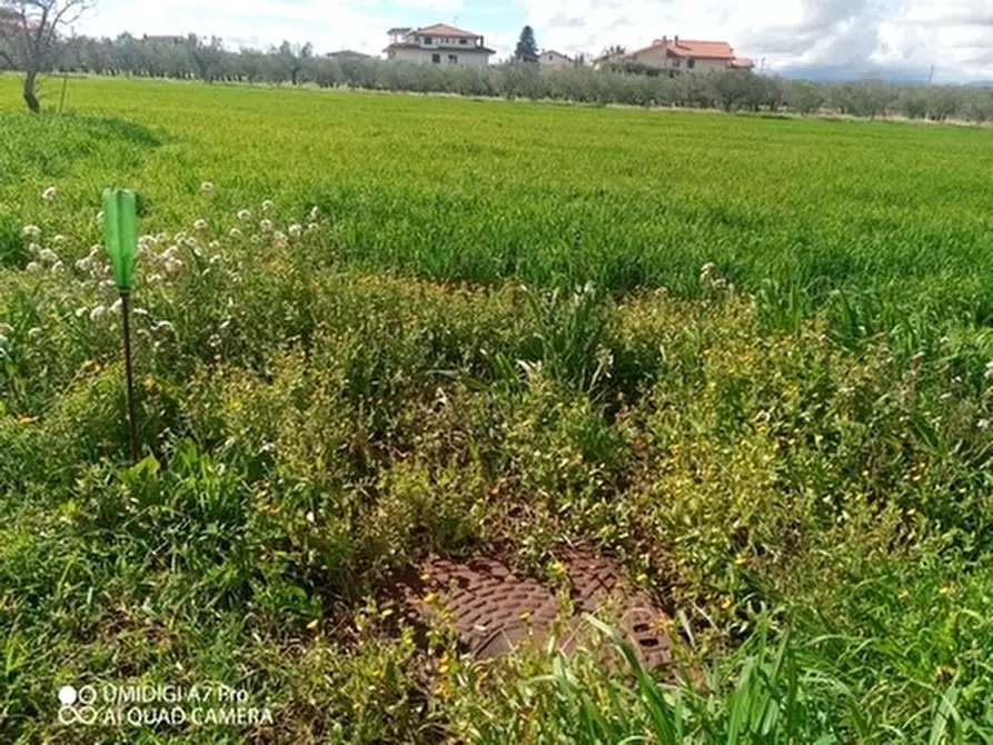 Immagine 17 di Terreno agricolo in vendita  a Fossacesia