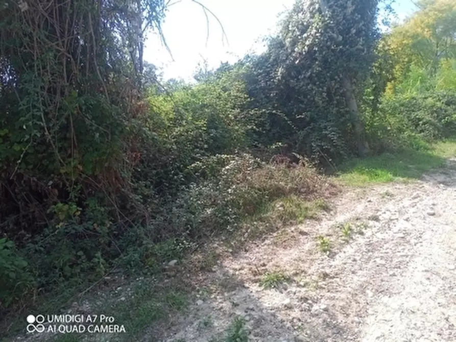 Immagine 5 di Porzione di casa in vendita  in LOC.POZZO a Paglieta
