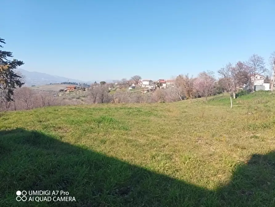 Immagine 3 di Rustico / casale in vendita  in CONTRADA MORGE a Castel Frentano