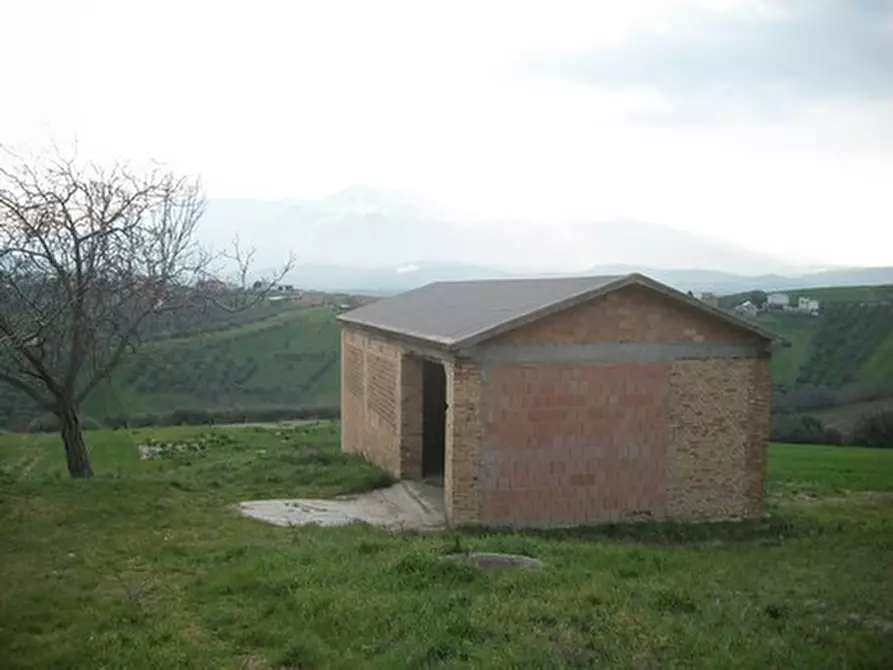 Immagine 1 di Terreno agricolo in vendita  in C.DA LENTESCO a Castel Frentano