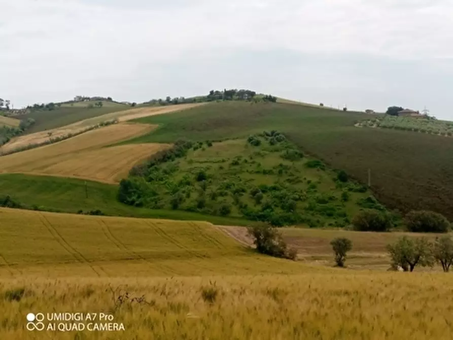 Immagine 9 di Terreno agricolo in vendita  in LOCALITA' CATOSCIO a Castel Frentano