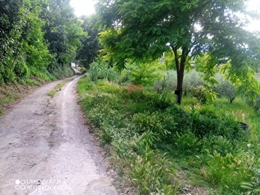 Immagine 14 di Terreno agricolo in vendita  in CONTRADA MARCIANESE a Lanciano