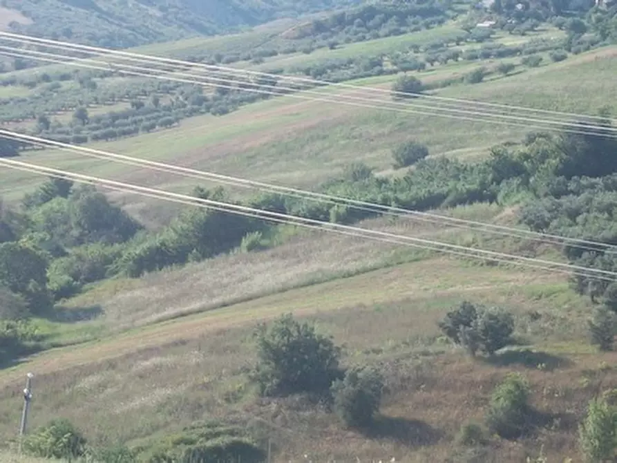 Immagine 18 di Terreno agricolo in vendita  in C.DA RIZZACORNO a Lanciano