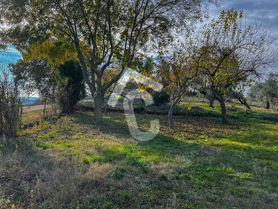 Immagine 27 di Rustico / casale in vendita  a Belvedere Ostrense