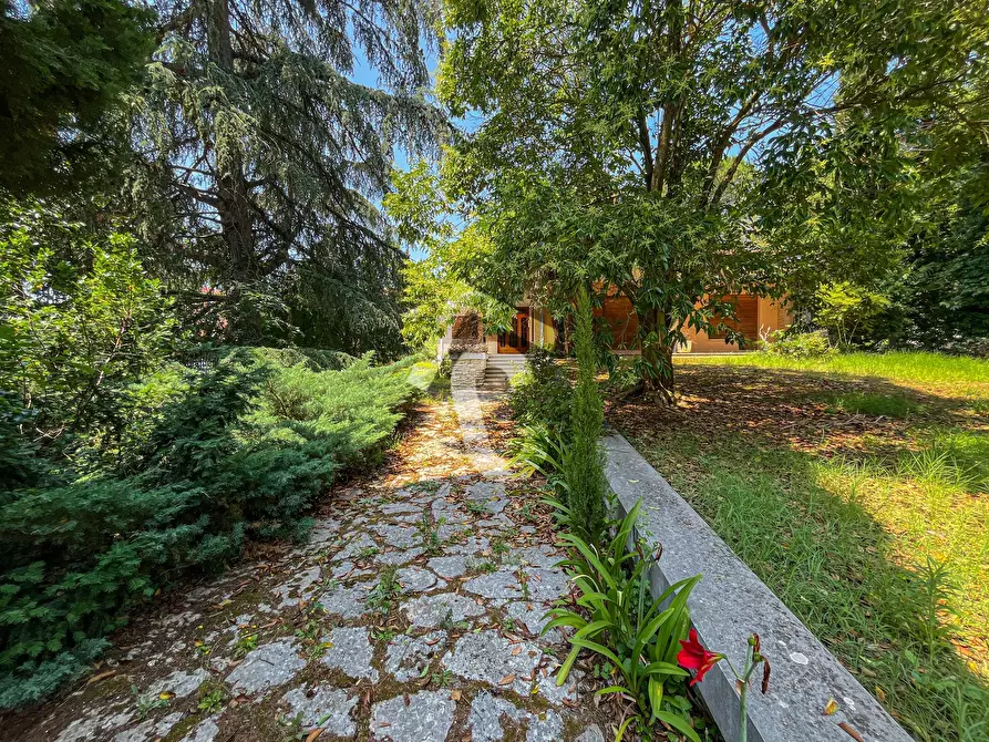 Immagine 53 di Villa in vendita  a Jesi