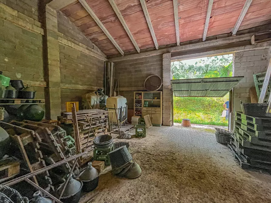 Immagine 27 di Rustico / casale in vendita  a Maiolati Spontini