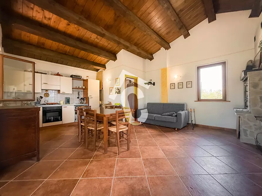 Immagine 45 di Casa bifamiliare in vendita  a Castelbellino