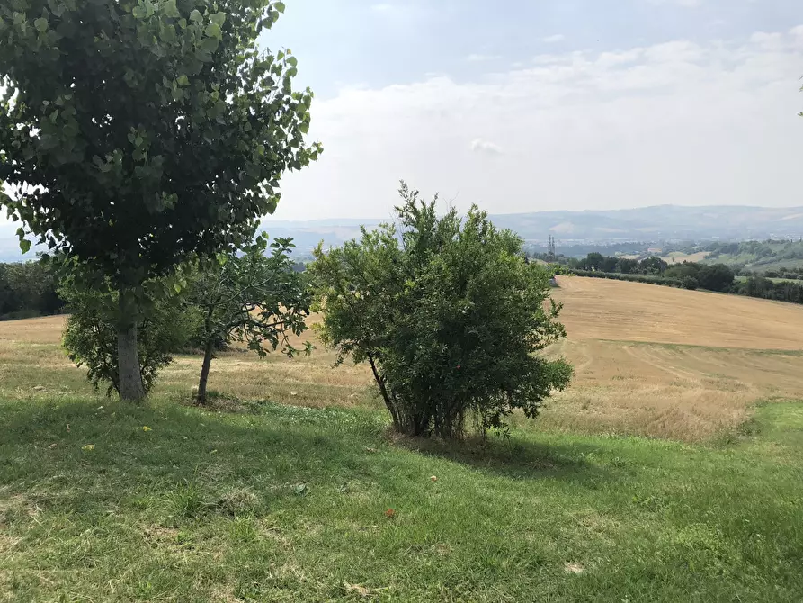 Immagine 2 di Terreno agricolo in vendita  a Jesi