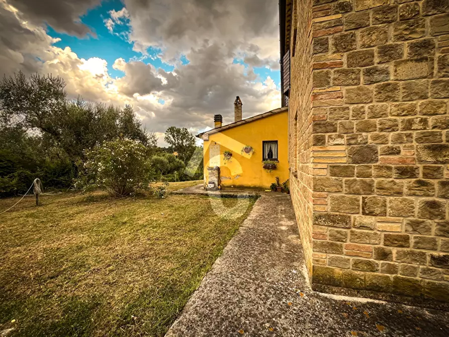 Immagine 25 di Rustico / casale in vendita  a Monte Roberto