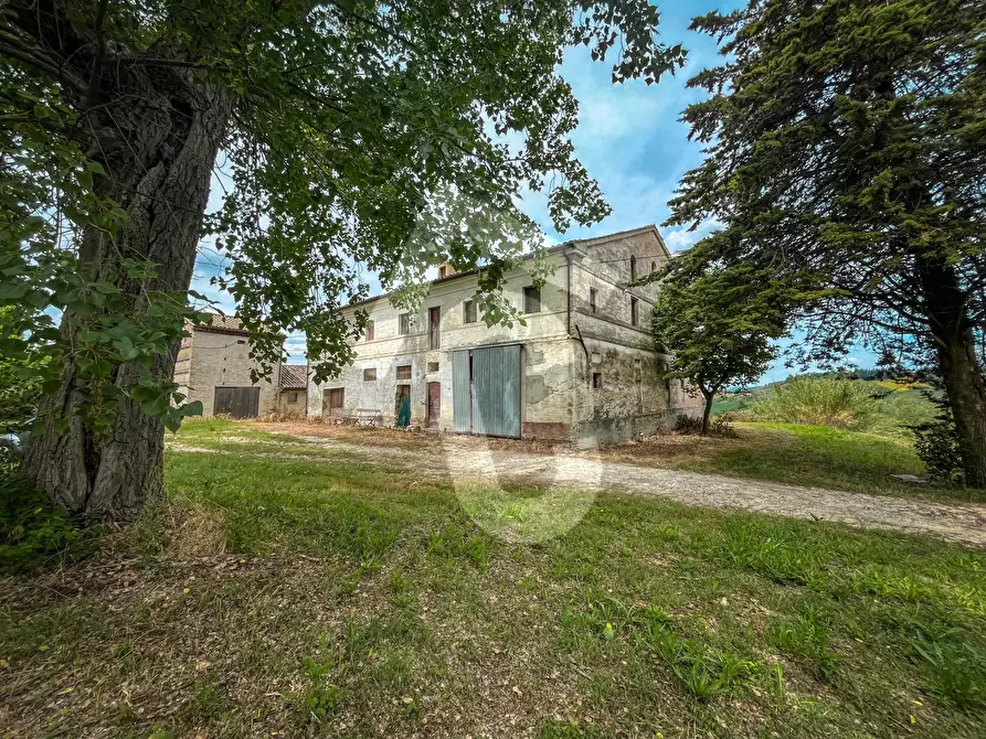 Immagine 16 di Rustico / casale in vendita  a Jesi