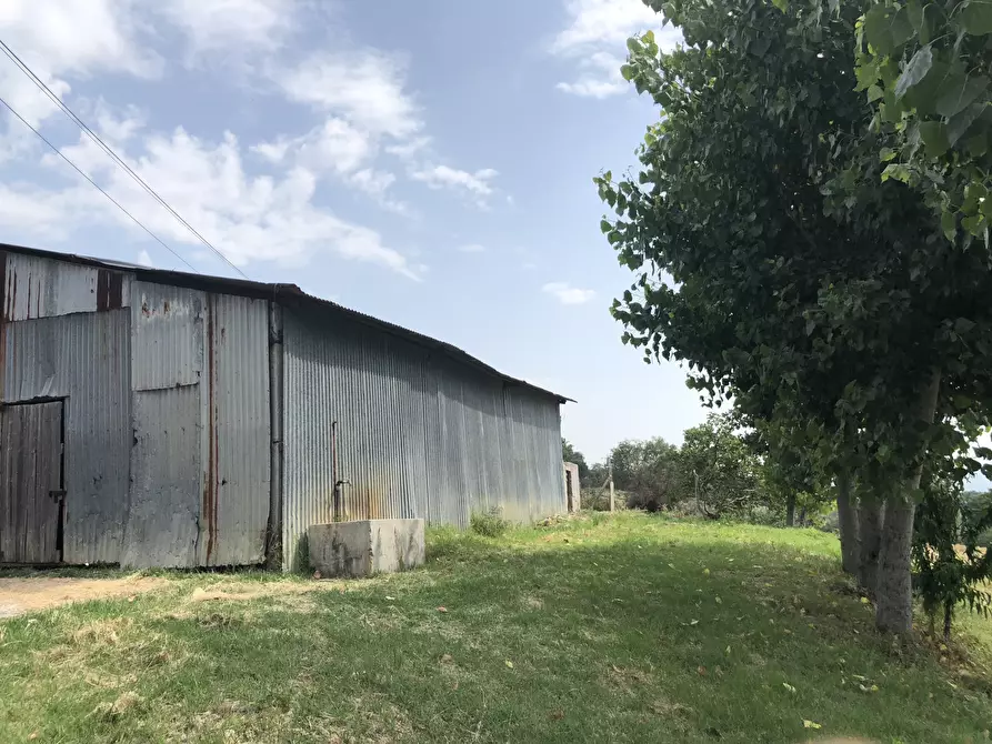 Immagine 4 di Terreno agricolo in vendita  a Jesi