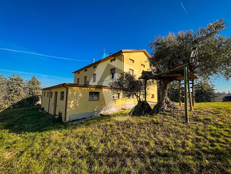 Immagine 4 di Rustico / casale in vendita  a Staffolo