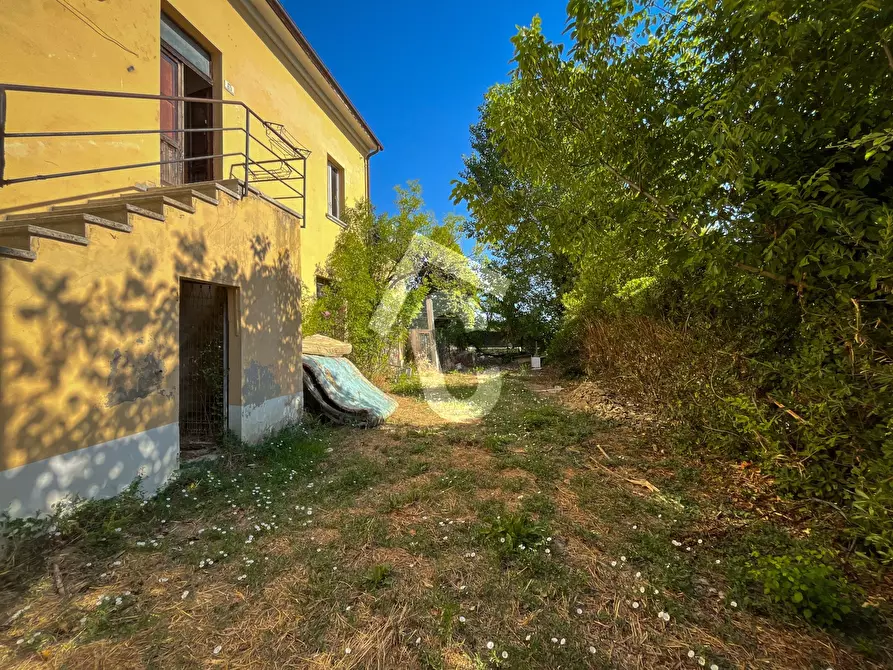 Immagine 9 di Rustico / casale in vendita  a Senigallia