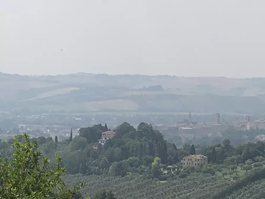 Immagine 11 di Terreno agricolo in vendita  a Jesi