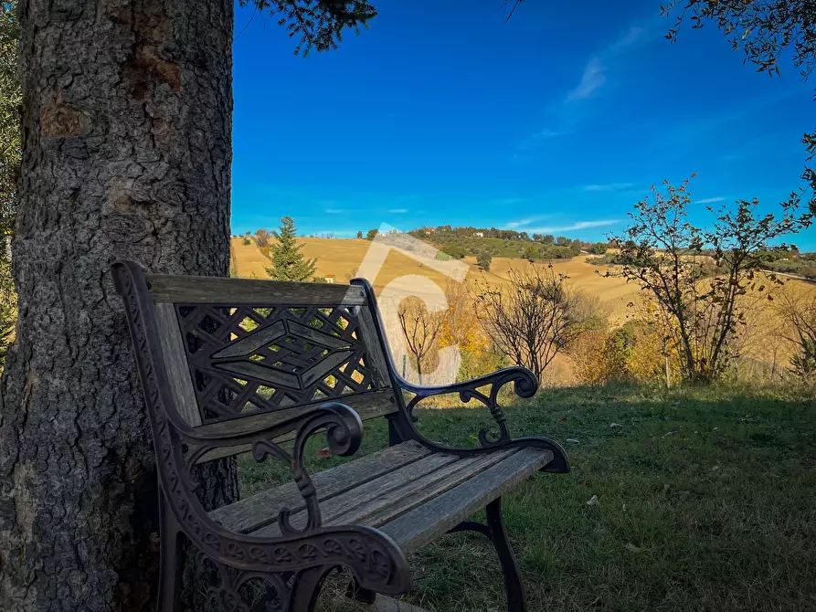 Immagine 3 di Rustico / casale in vendita  a Senigallia