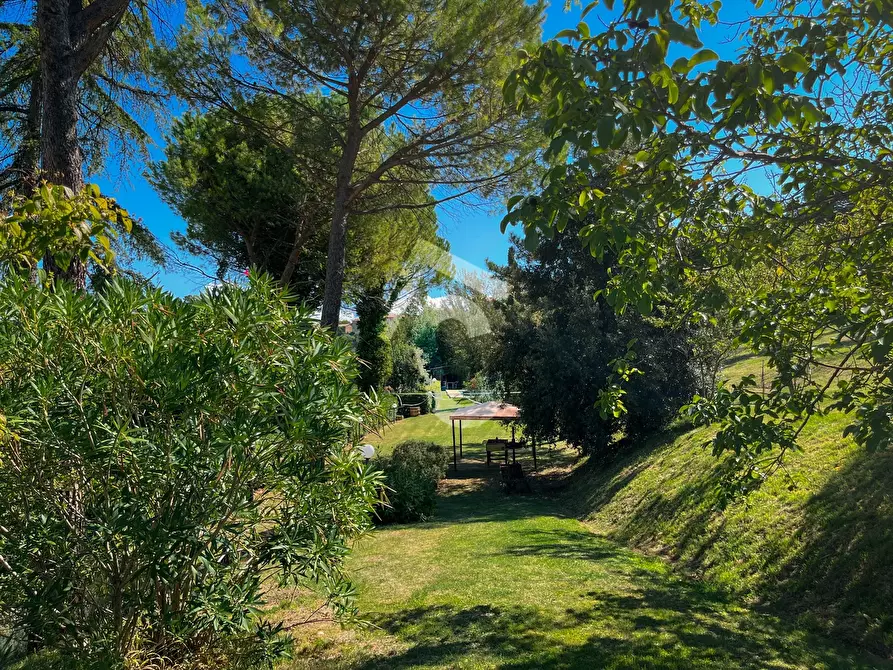 Immagine 41 di Casa bifamiliare in vendita  a Castelbellino
