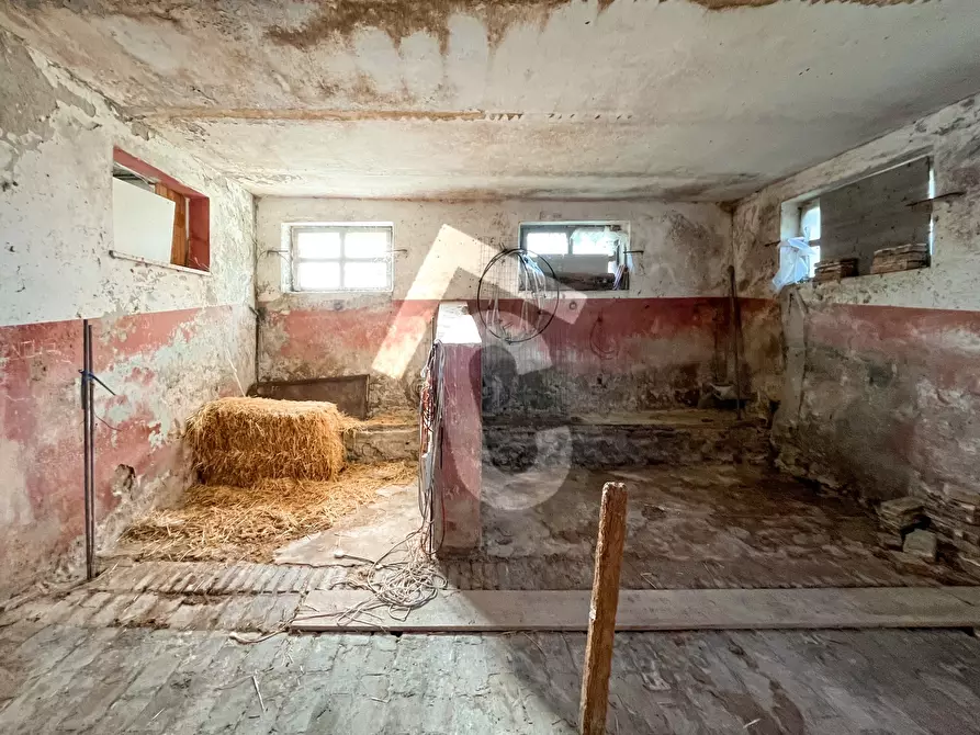 Immagine 46 di Rustico / casale in vendita  a Staffolo