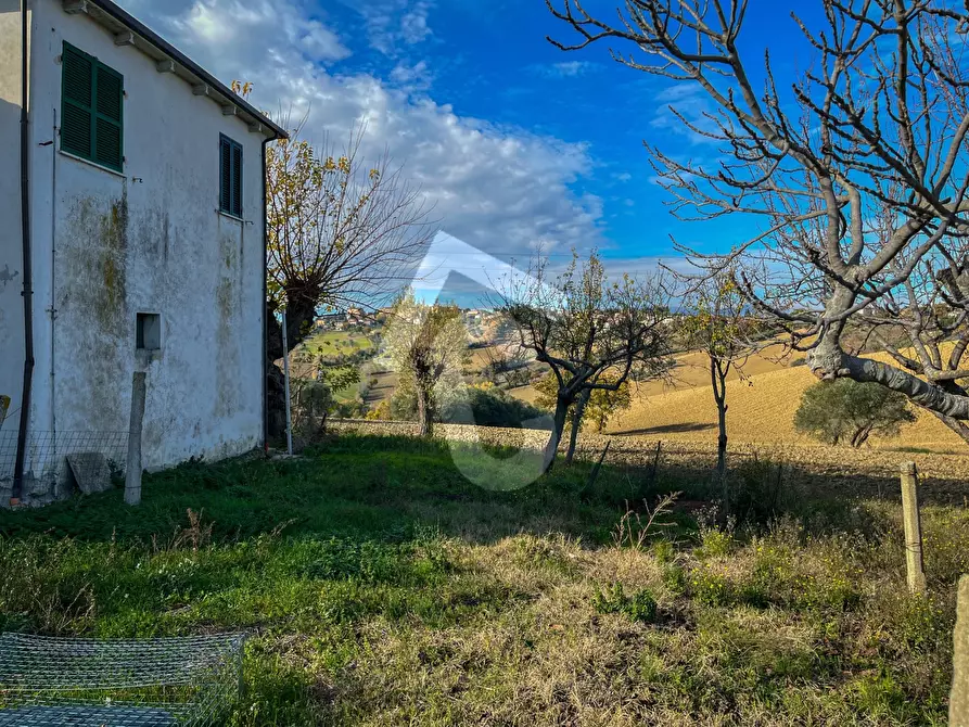 Immagine 25 di Rustico / casale in vendita  a Belvedere Ostrense